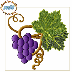 Grape Vine