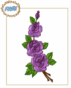 Purple Rhapsody Rose