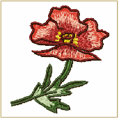 Small Poppy Embroidery Design